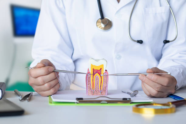 Best Tooth Pain Emergency Relief  in Bell Nyon, CA